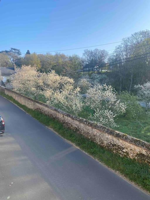 Gite Des Moriers Blois Bord De Loire Exteriör bild